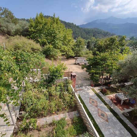 Elpida Apartment Liménasz Kültér fotó